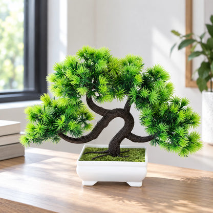 Japanese Bonsai Tree – Elegant Zen Decor for Home & Office