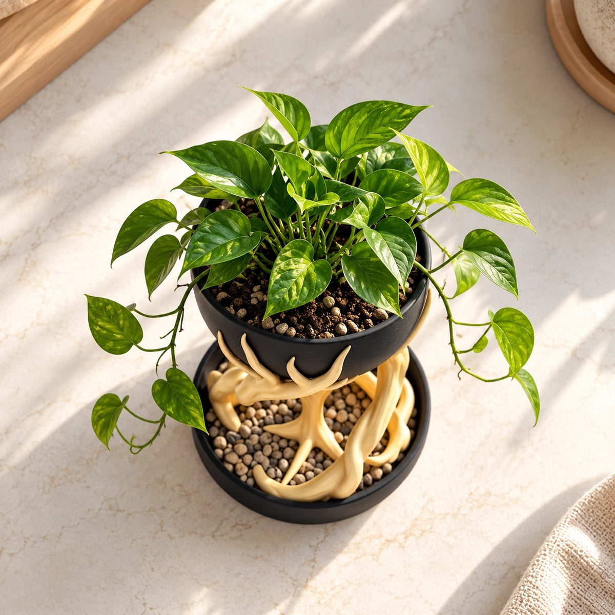 Tree Root Planter – Modern Indoor Plant Decor